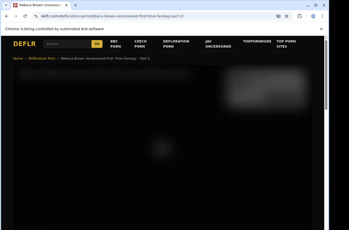 Deflr Video Downloader browser extension screenshot 2