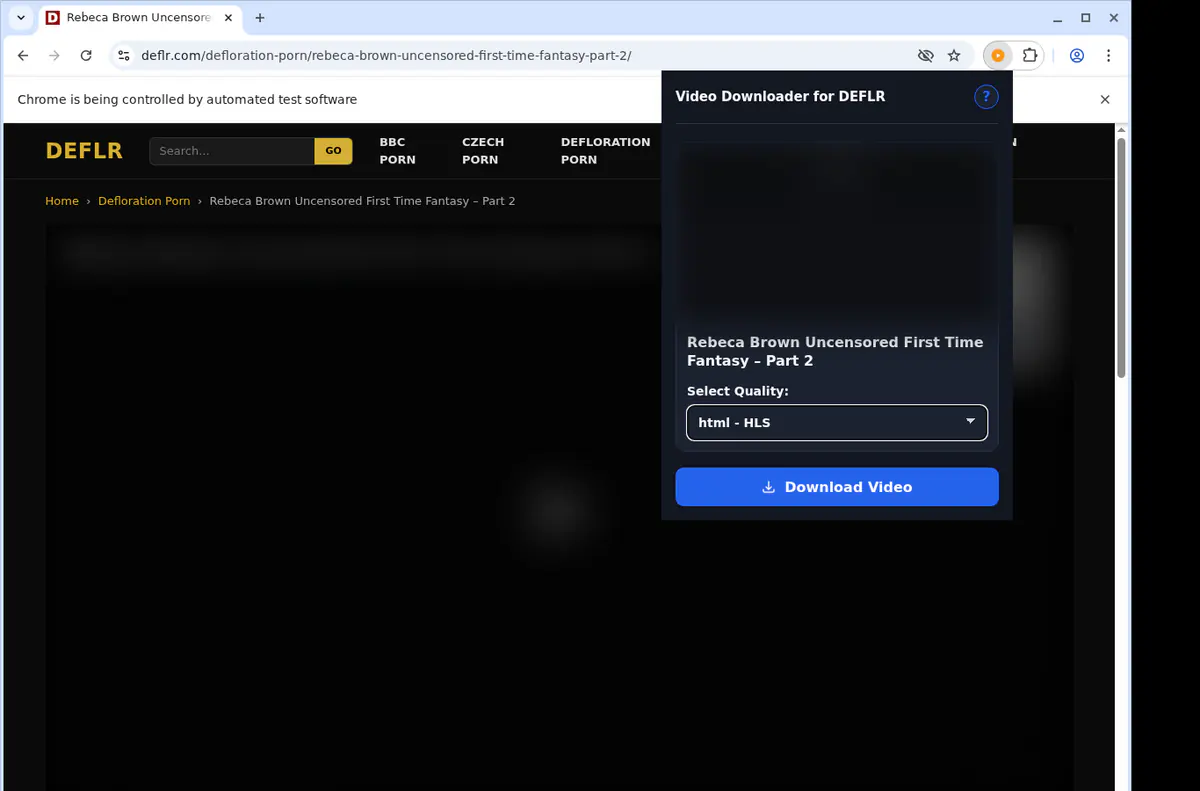 Deflr Video Downloader browser extension screenshot 3